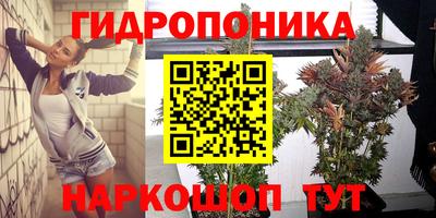 прущая мука Моздок