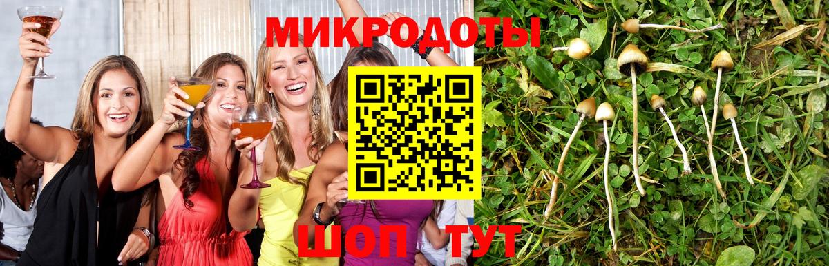 Тавда  Псилоцибиновые грибы MAGIC MUSHROOMS  Вход с VPN 